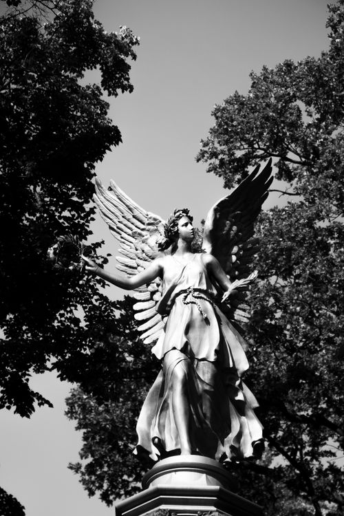Free Monochrome image of an angelic statue surrounded by trees, conveying a timeless and serene atmosphere. Stock Photo
