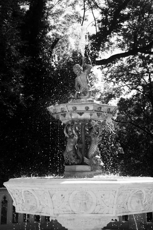 Free Elegant black and white photo of a marble fountain with statues in a lush green garden. Stock Photo