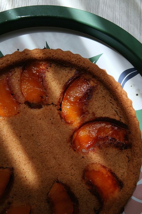 Free Warm homemade peach tart with natural lighting casting soft shadows. Stock Photo