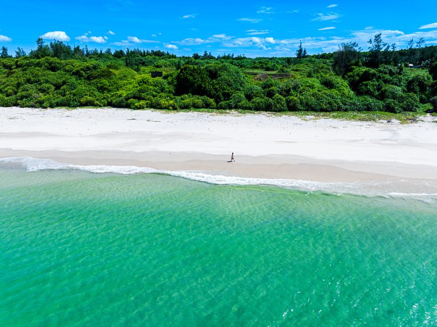 Aerial view of a serene beach with a lone person walking, lush greenery in the background.