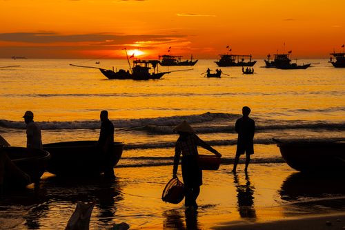 Free Silhouettes of fishermen at sunset by the sea with boats in the background. Stock Photo