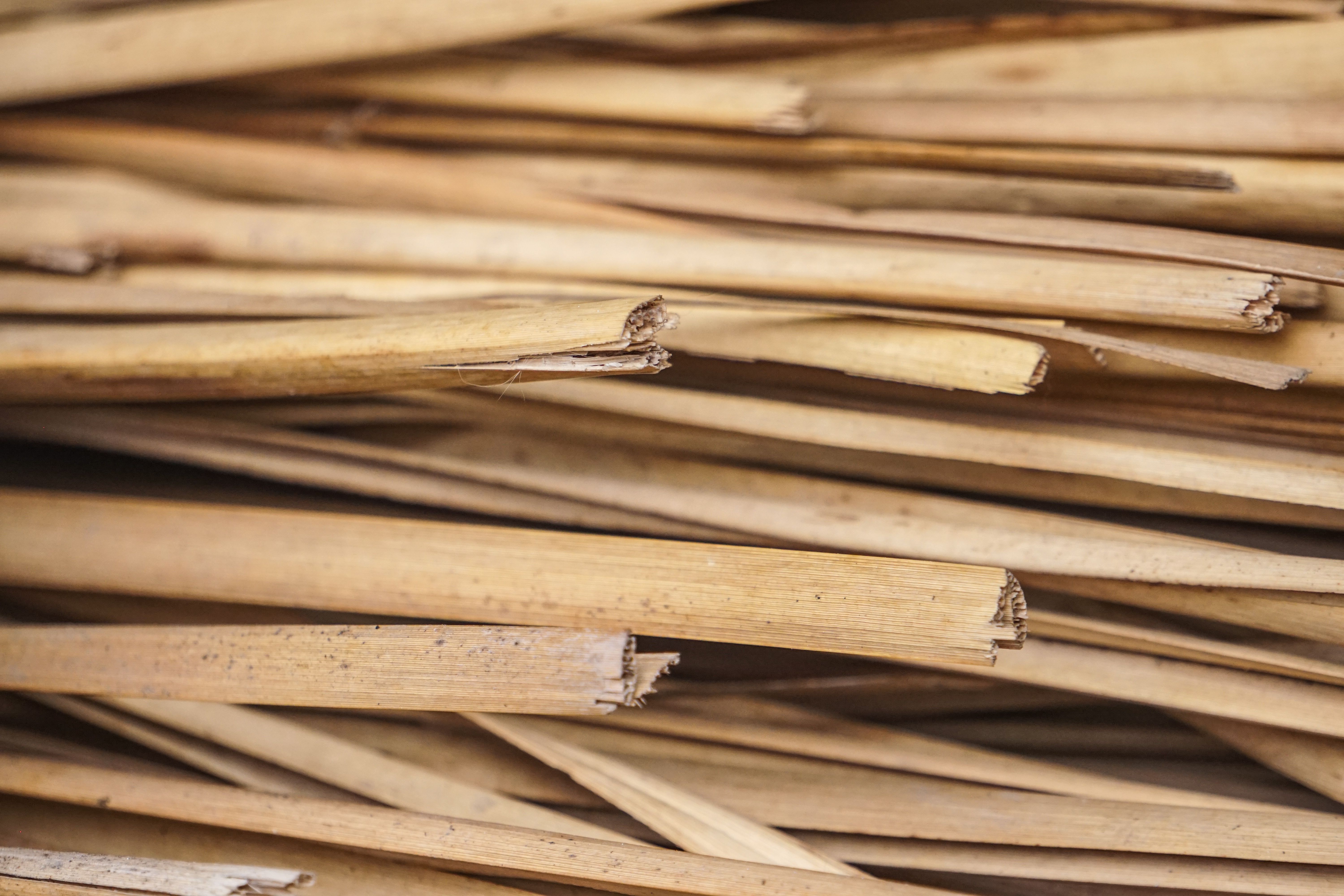 Chemical wood pulp, sulphite, other than dissolving grades