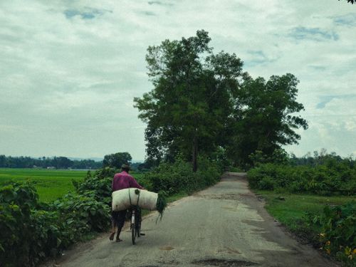 Free A serene rural landscape in Islampur featuring a cyclist on a tree-lined path. Stock Photo