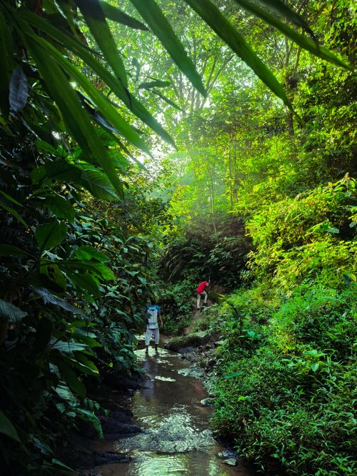 Free Two people hiking through a lush tropical rainforest stream in Islampur. Stock Photo