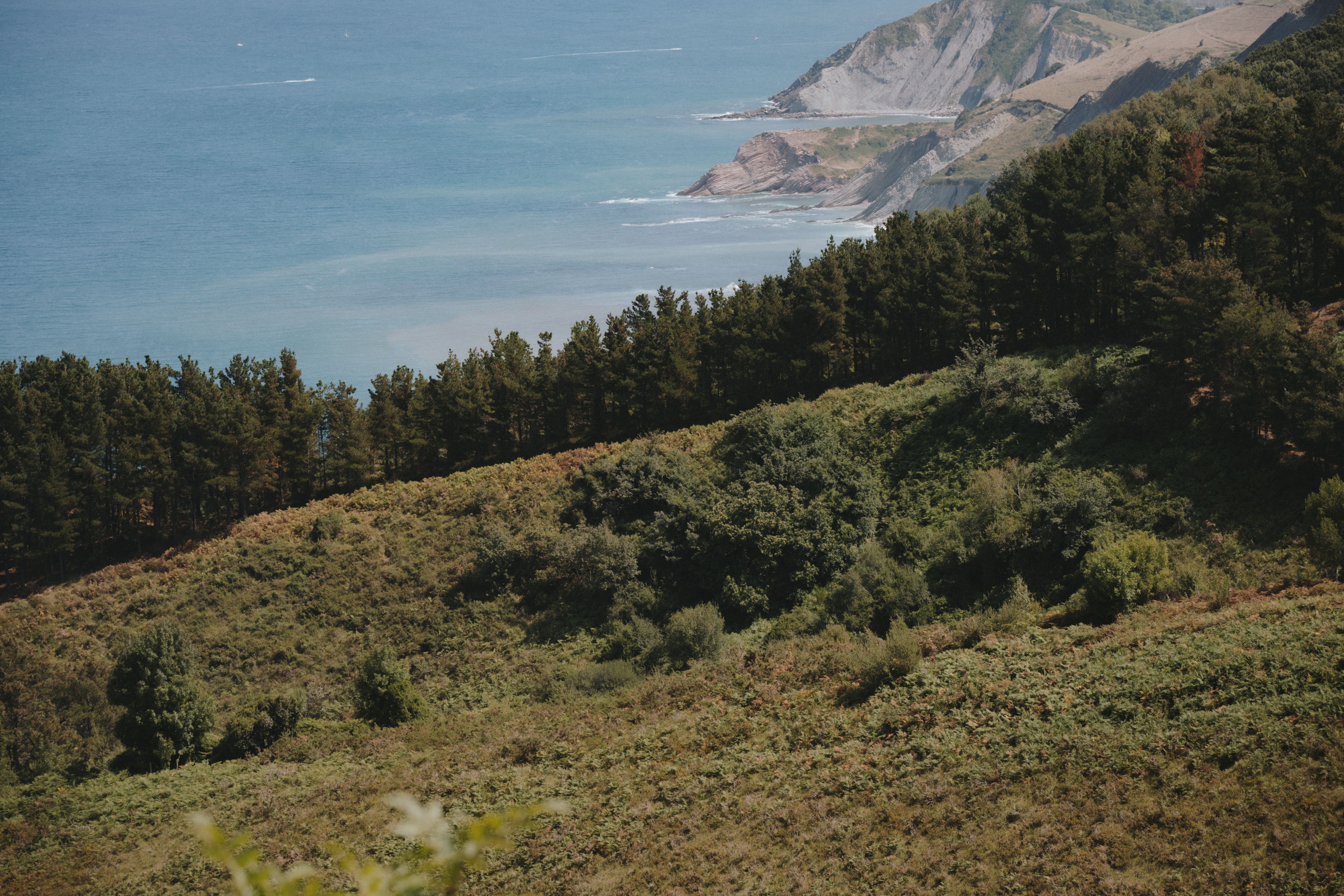 Zarautz