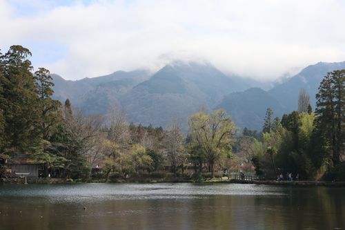 Free A tranquil lake scene with misty mountains and lush trees under a cloudy sky. Stock Photo