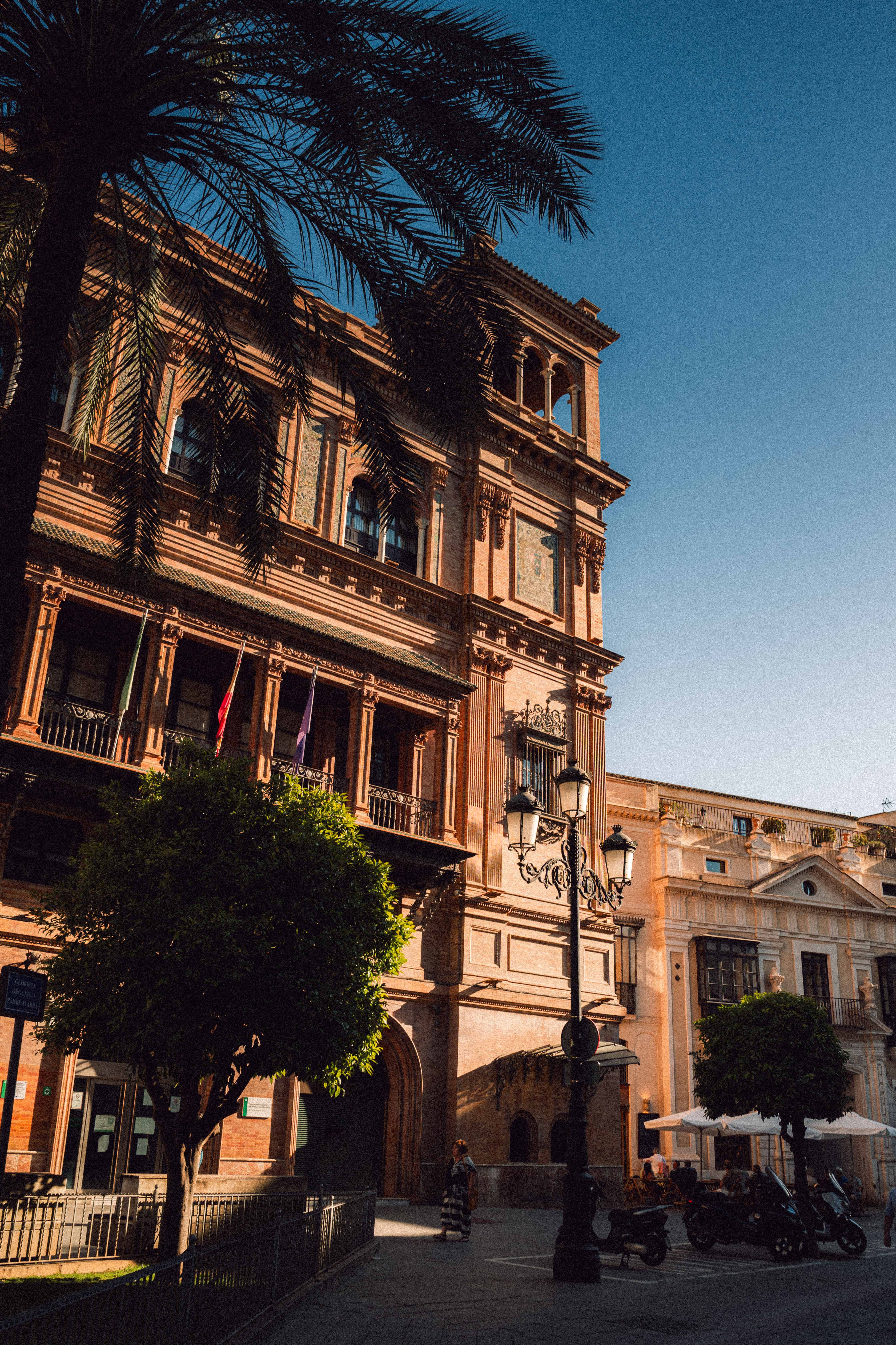 View of historic architecture in Sevilla, capturing a sunny day with palm trees.