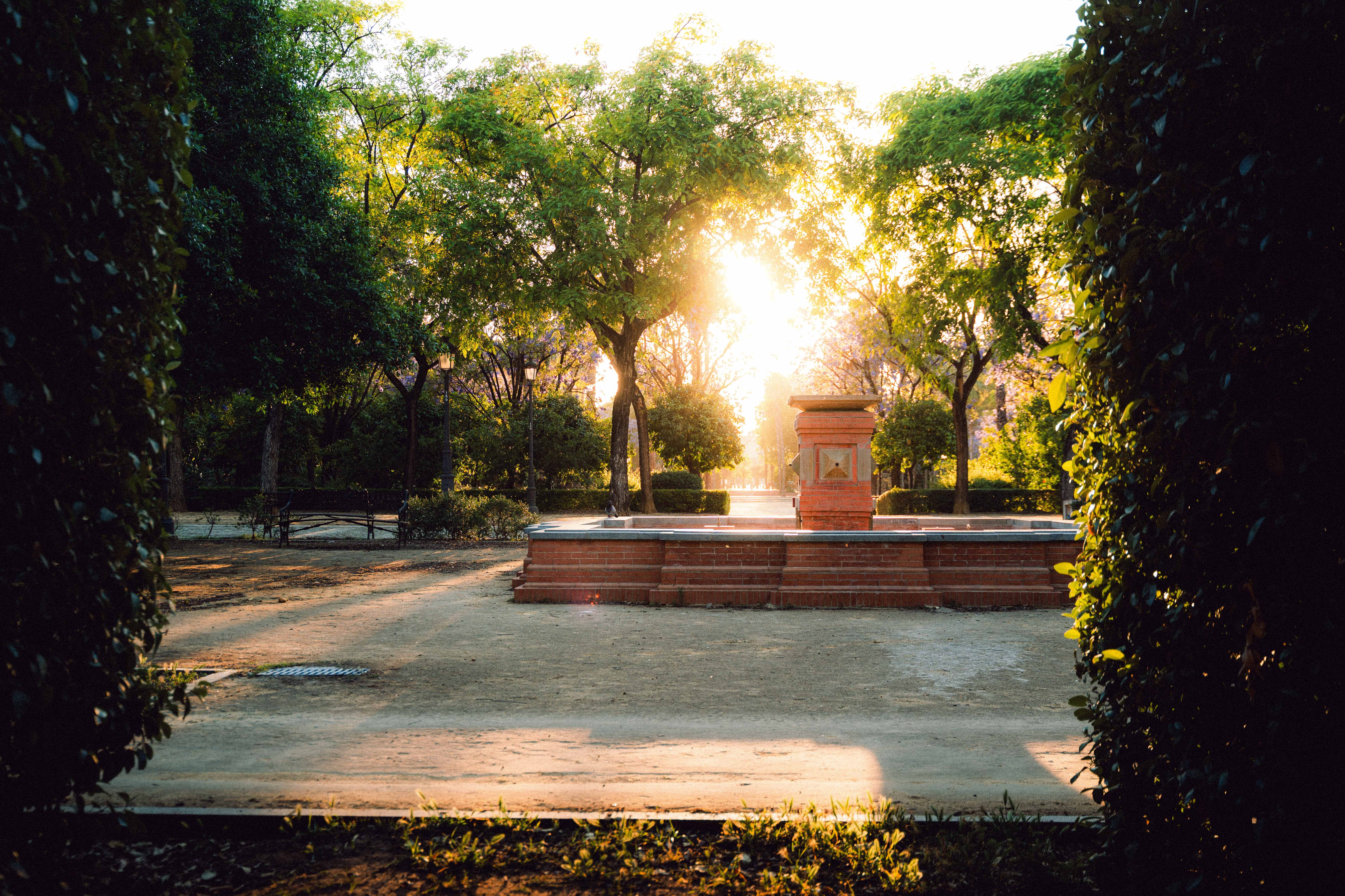urban sanctuary