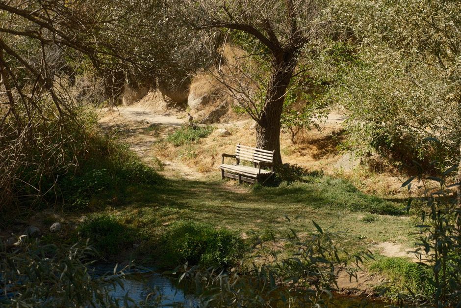 Peaceful bench under a tree by a stream in Aksaray, Türkiye forest on a sunny day.