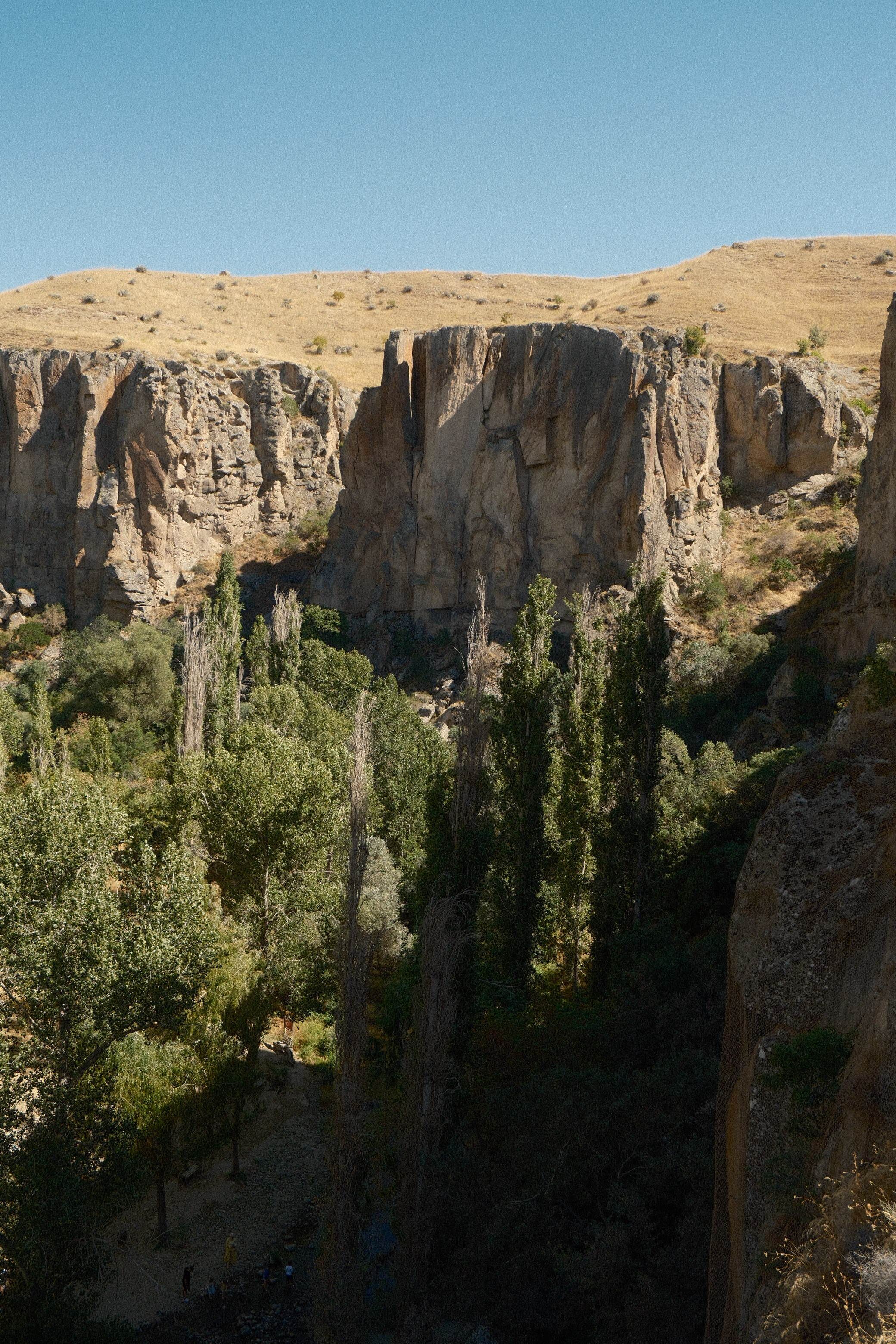 Breathtaking view of Ihlara Valley's cliffs and lush greenery in Aksaray, Türkiye.