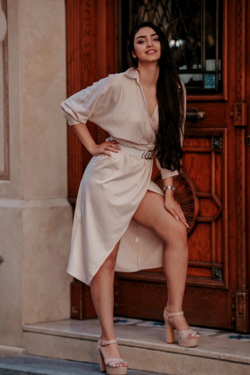 Beige Dress Photos, Download The BEST Free Beige Dress Stock Photos & HD Images