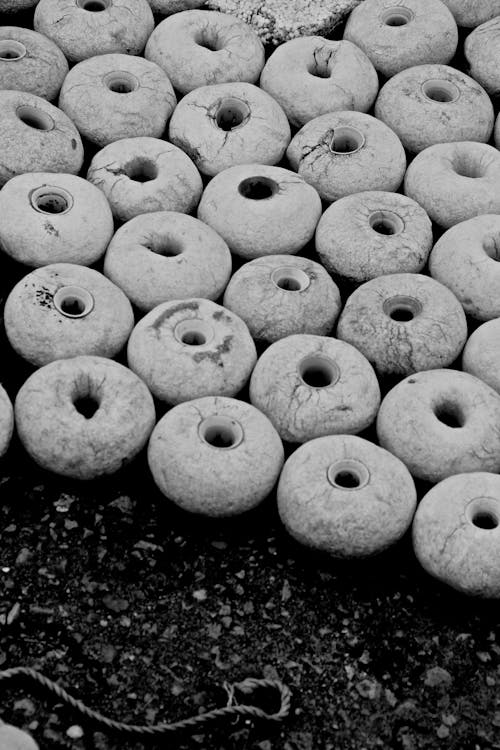 Gray Rocks on the Black Soil