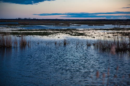 Darmowe zdjęcie z galerii z mokra trawa, niebo zachód słońca, spokojna woda