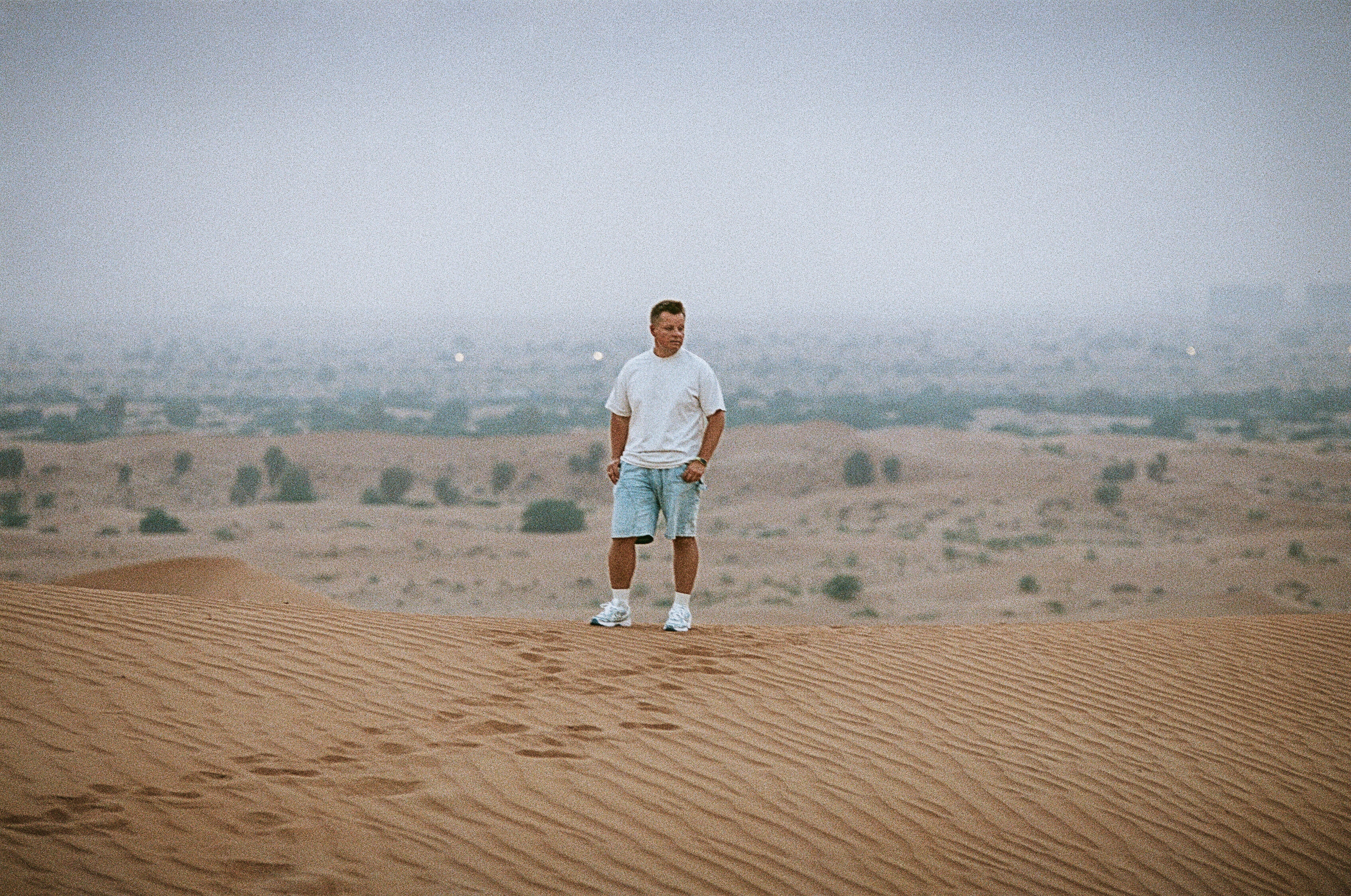 amr diab