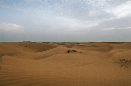Free Capture the serene beauty of endless desert dunes under an expansive and cloudy sky, showcasing nature's simplicity. Stock Photo