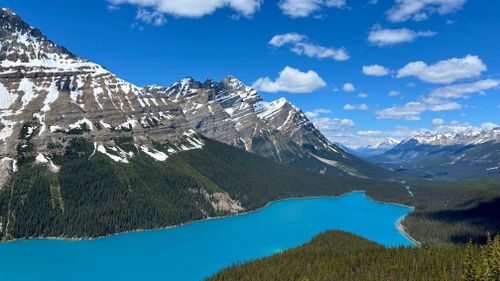 Free Stunning mountain and turquoise lake view at Peyto Lake, Banff, Alberta. Stock Photo