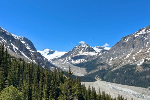 Free Breathtaking view of snow-capped mountains and pine forest in the Canadian Rockies. Stock Photo