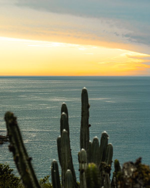 Um pôr do sol deslumbrante sobre o oceano com silhuetas de cactos em Arraial do Cabo, Brasil.