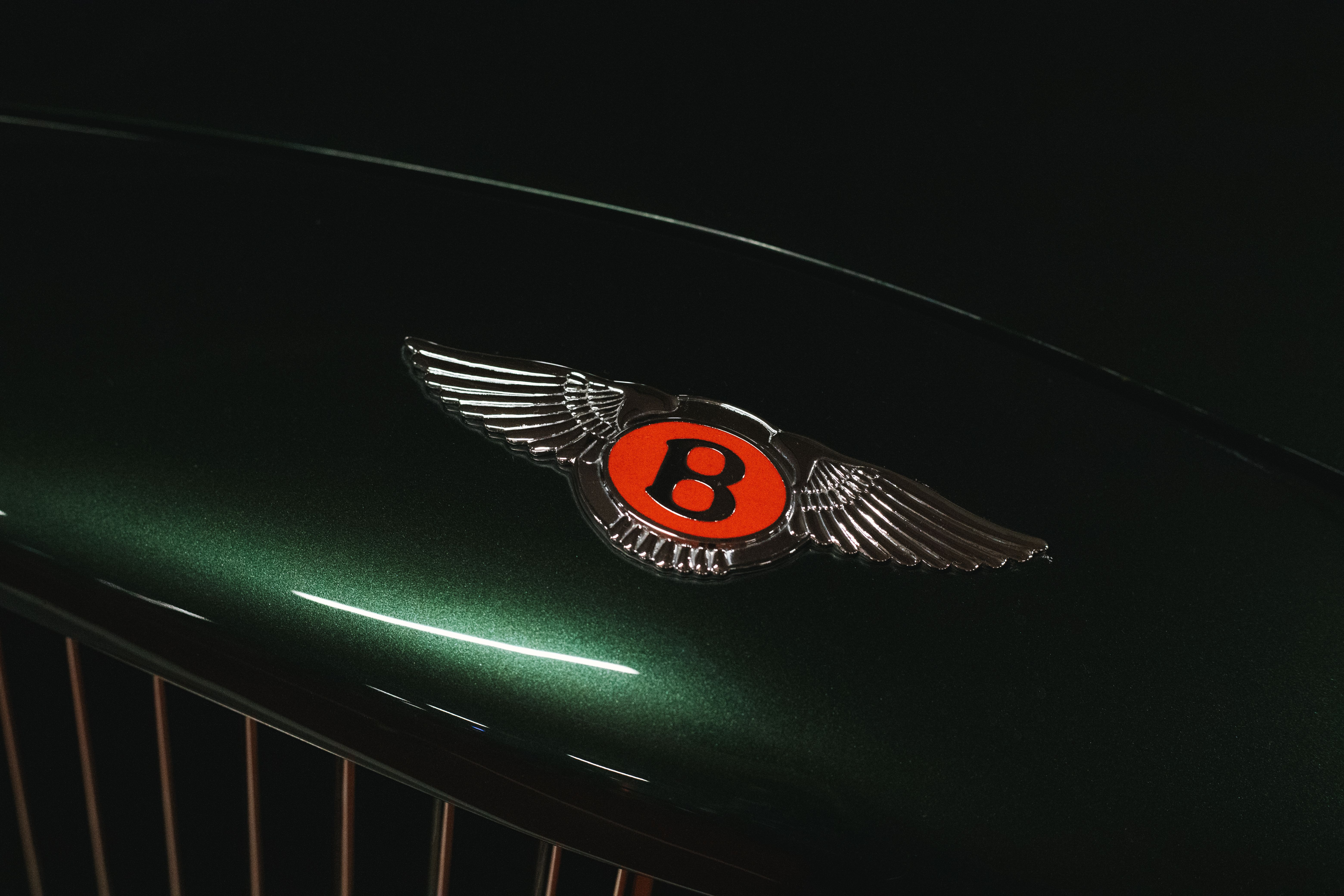 Detailed view of a vintage car emblem with a dark and moody background, showcasing classic elegance.