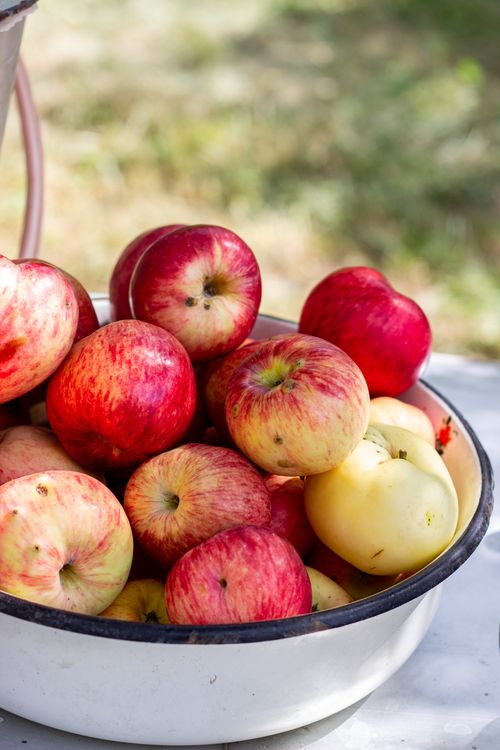 Free A rustic bowl filled with fresh, assorted red and yellow apples outdoors in natural light. Stock Photo