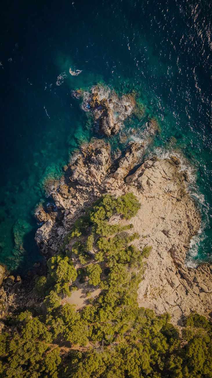 Stunning aerial view of a rugged coastline with clear blue waters and lush greenery.