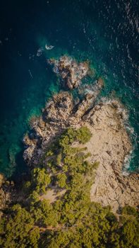 Stunning aerial view of a rugged coastline with clear blue waters and lush greenery.