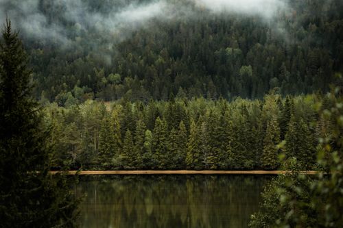Free Serene forest scene in Norway with mist over trees and a calm lake reflection, capturing nature’s tranquility. Stock Photo