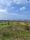 fields