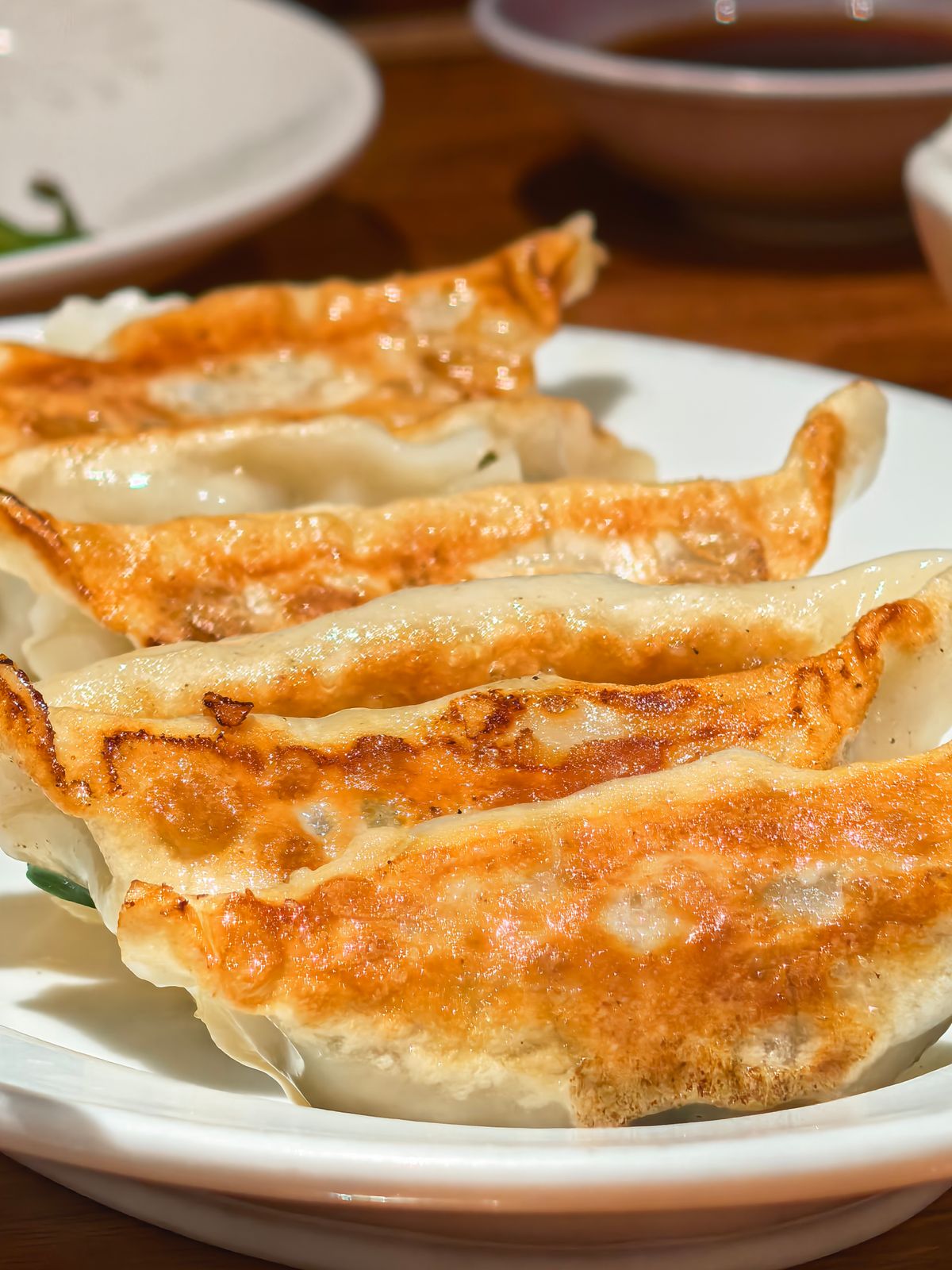 Plate of pan-fried gyoza dumplings with golden, crispy bottoms