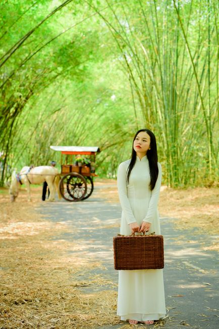 Final Thoughts: Your Perfect Vietnam Trip Awaits! Final Thoughts: Your Perfect Vietnam Trip Awaits!
