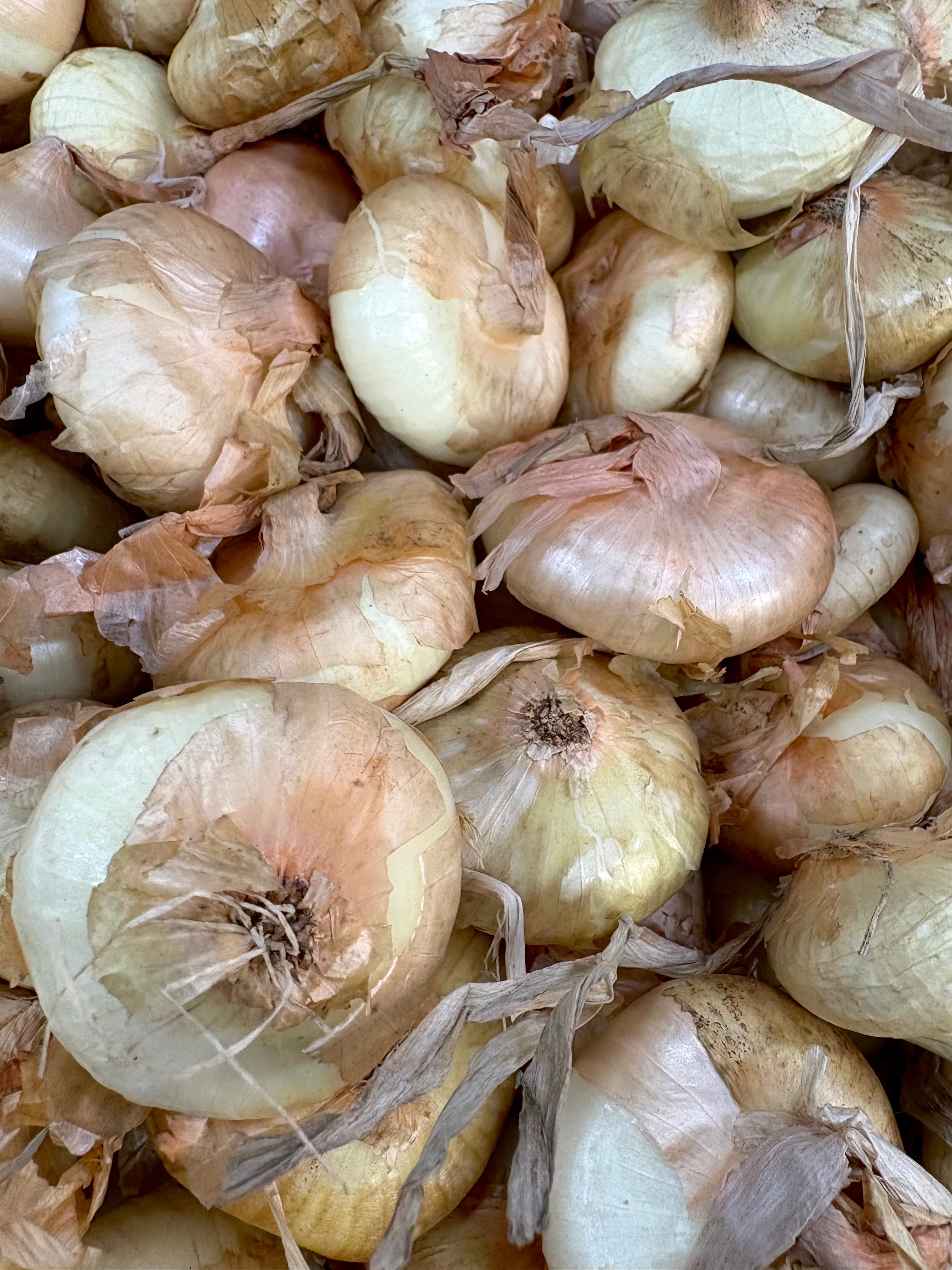 Frutas Tropicais (kg)