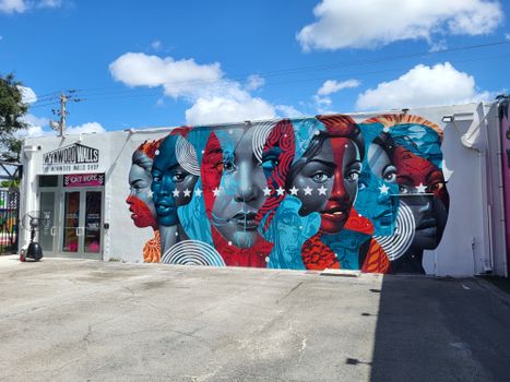Wynwood street art walk — Miami