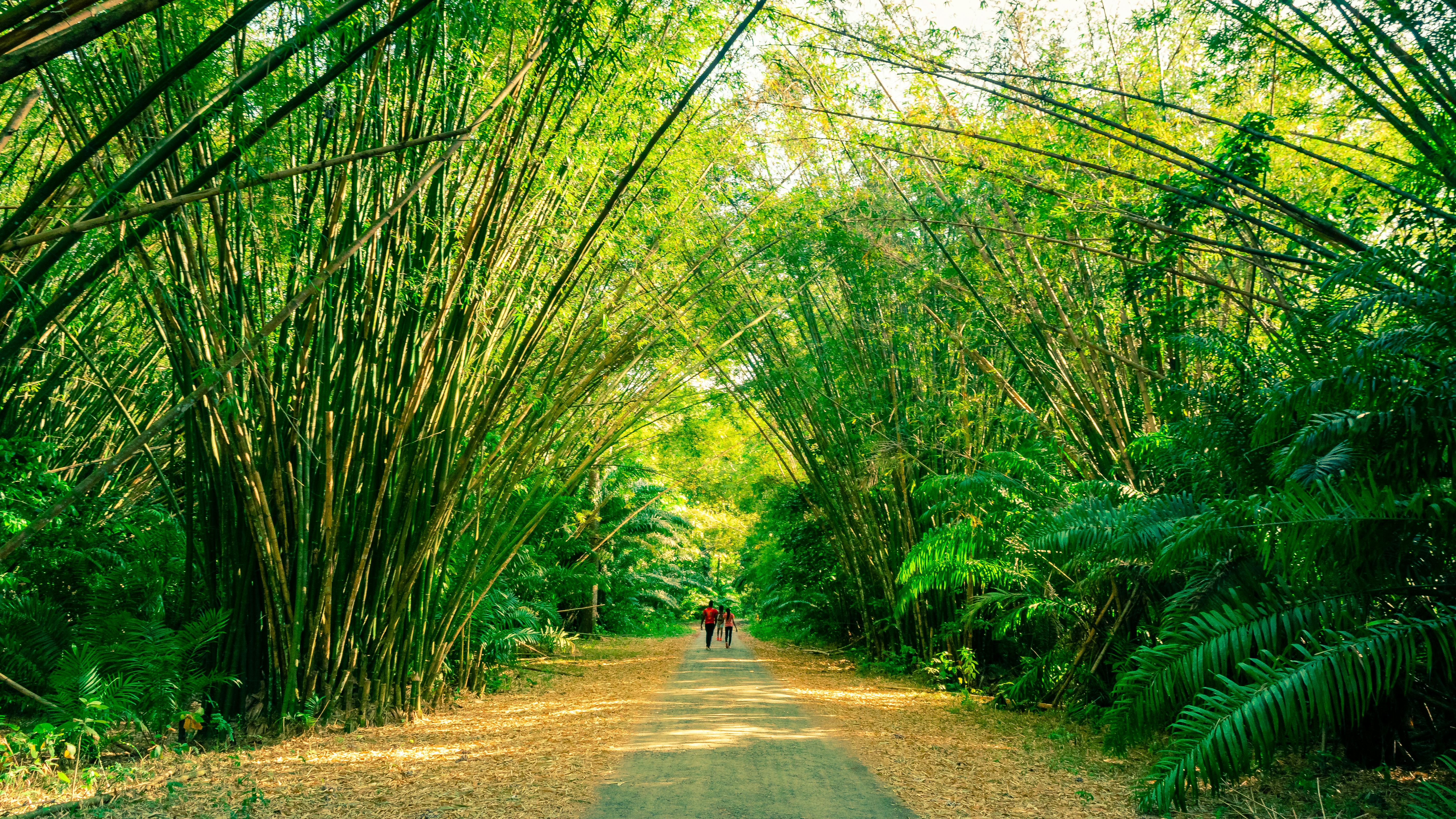 Broward County walks the walk on sea-level rise — Photo by Kenrick Baksh on Pexels