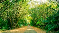 People Walking on the Path