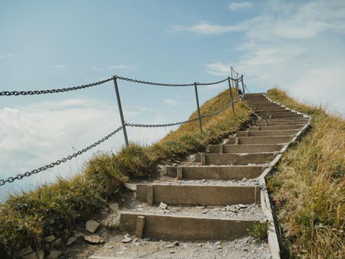 Free Wooden steps lead up a grassy mountain path in the Swiss Alps under a clear sky. Stock Photo