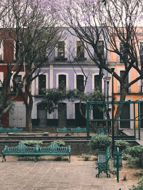 Facades of aged residential houses located on city square with benches and trees without leaves