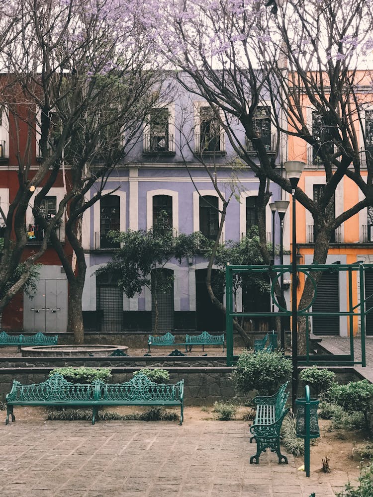 Exterior Of Modern Square With Trees Near Buildings