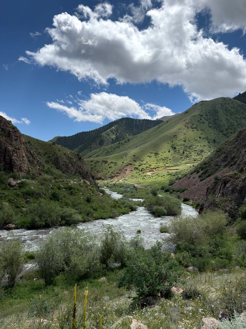 Free River flowing through lush green valleys in Kyrgyzstan under a bright summer sky. Stock Photo