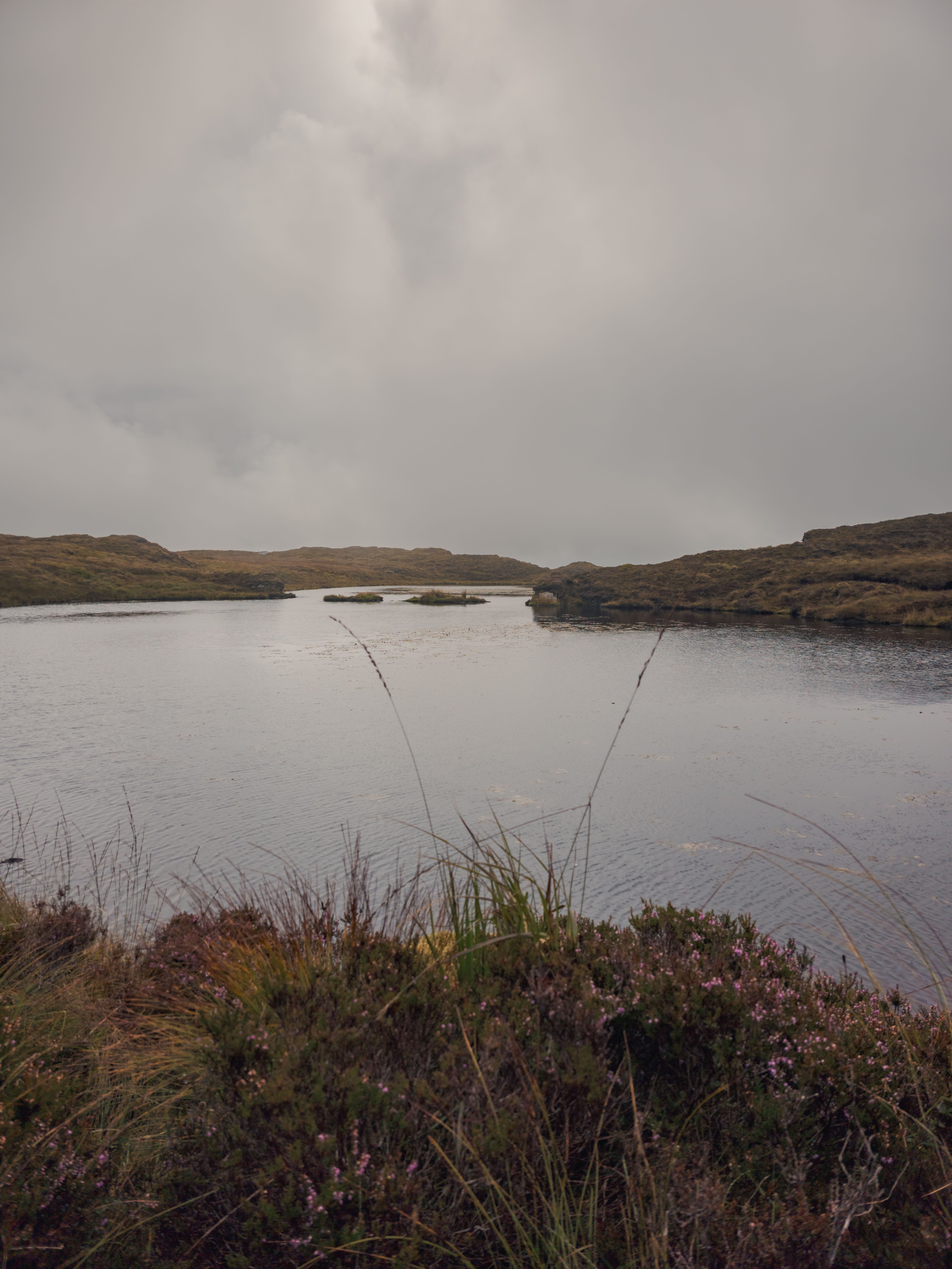 Tranquil lake view in Ireland with cloudy sky and natural vegetation.