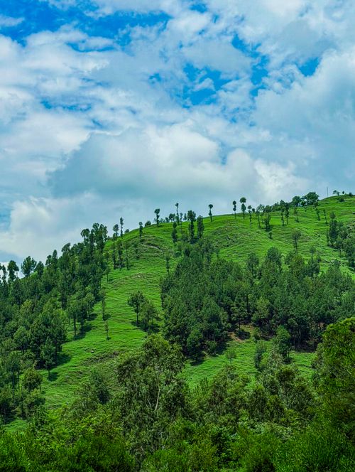 Free Lush green hills with vibrant trees against a cloudy blue sky create a stunning natural landscape. Stock Photo