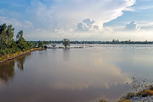 buổichiều, canh dong, chụpảnhphongcảnh 的 免費圖庫相片