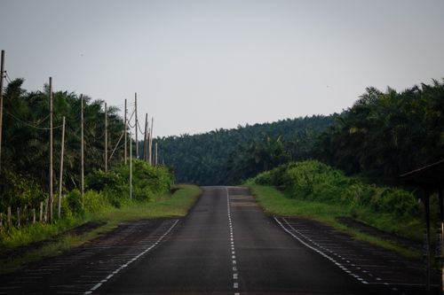 Free A quiet road stretches through lush palm plantations under a clear sky. Stock Photo