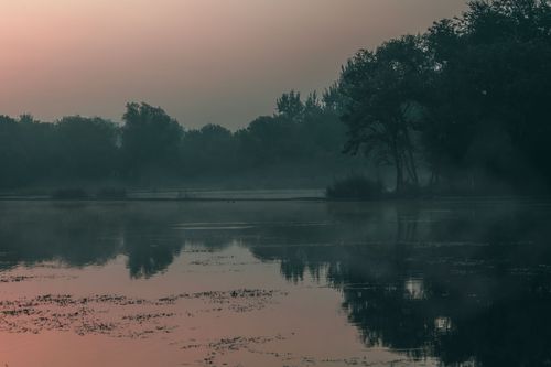 Free A tranquil lake at twilight enveloped in mist with soft reflections of trees in the water. Stock Photo