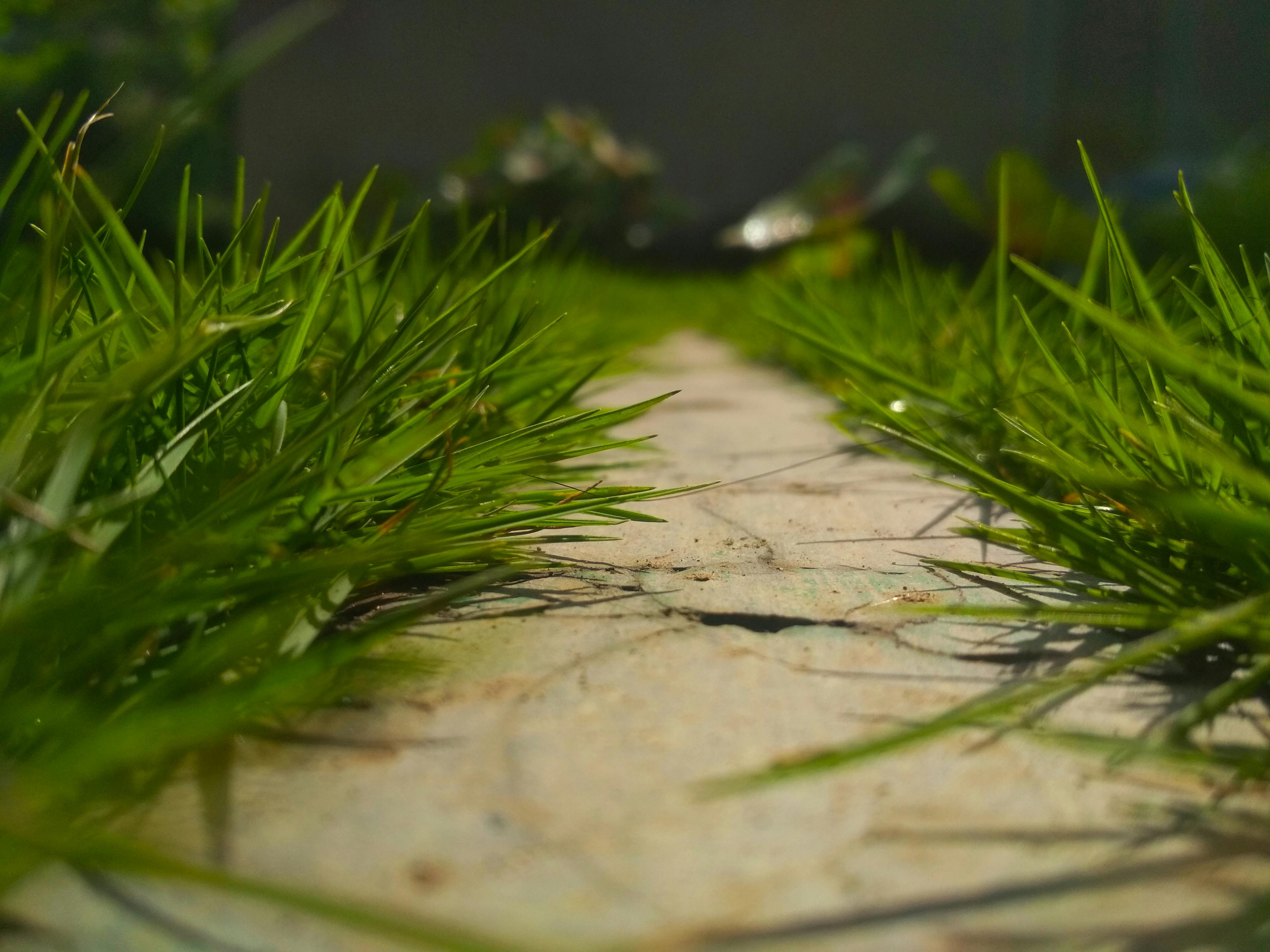 vitamin a cho trẻ bao nhiêu tháng