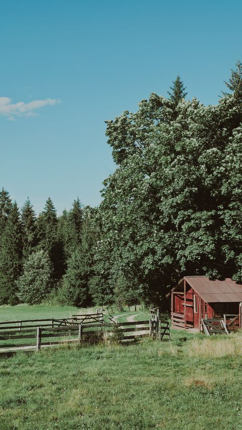 Free A peaceful countryside landscape featuring a rustic barn amidst lush greenery. Stock Photo