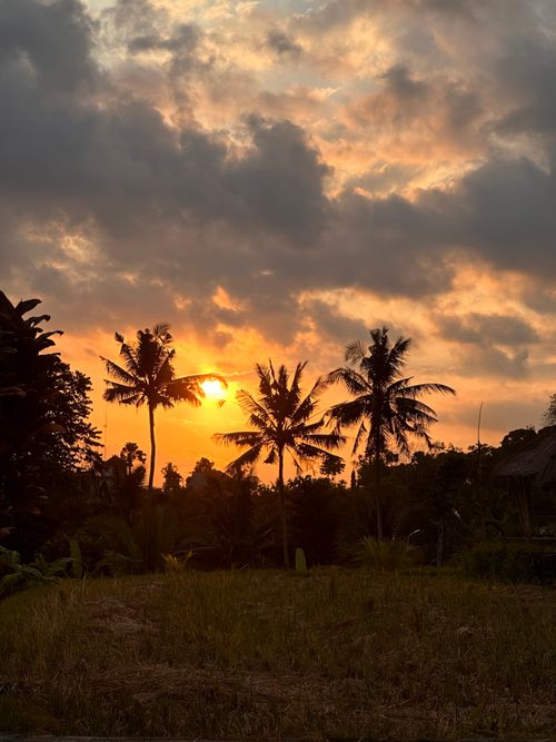 Free Captivating sunset casting a warm glow over palm trees in Ubud, Bali, Indonesia. Stock Photo