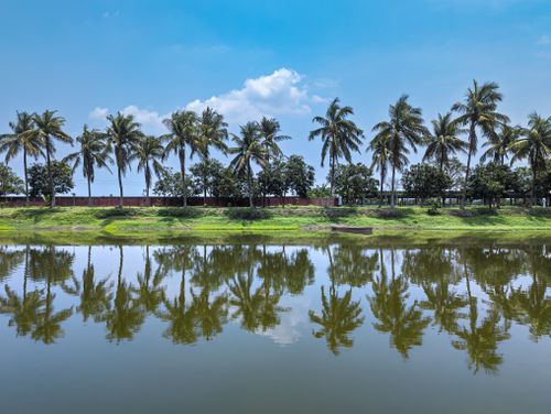 Free Tranquil scene of palm trees reflecting in a serene body of water under a clear blue sky. Stock Photo