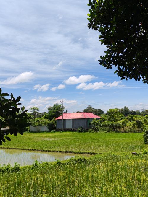 Free A serene countryside scene with a red-roofed house, lush greenery, and blue skies. Stock Photo