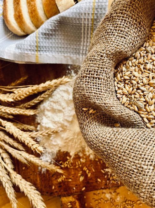 Free A rustic display of bread ingredients including wheat grains, flour, and fresh loaves on a wooden table. Stock Photo
