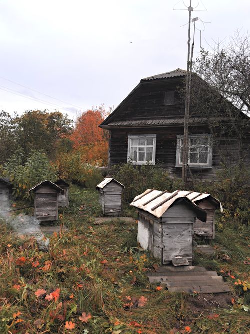 Free Atmospheric image depicting bee hives and a wooden house in an autumnal Belarusian setting. Stock Photo